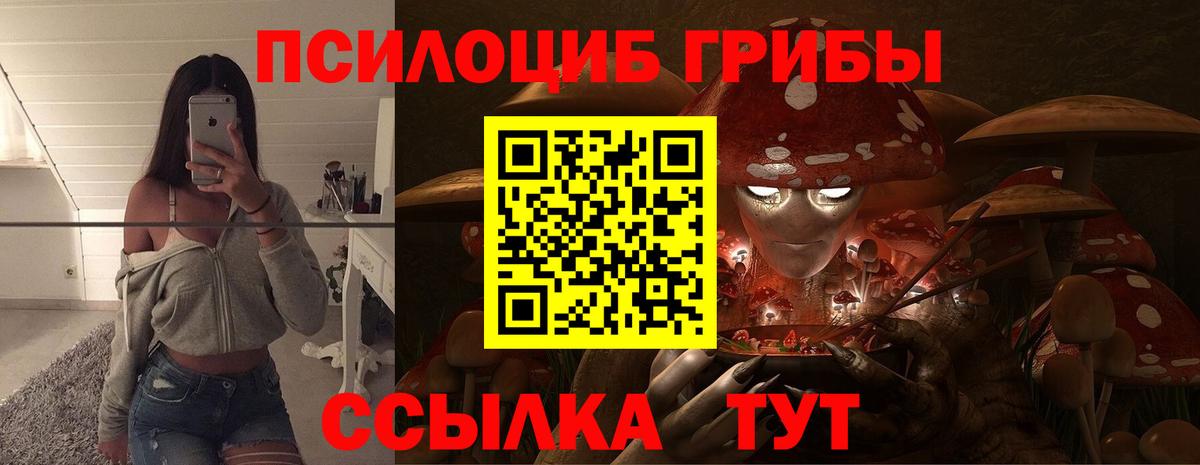 Псилоцибиновые грибы GOLDEN TEACHER Рязань